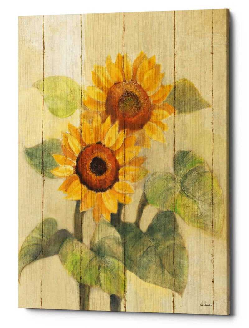 Epic Graffiti 'Summer Sunflowers I on Barn Board' by Albena Hristova, Canvas Wall Art, 26"x34" - Image 1